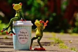 coffee-frog