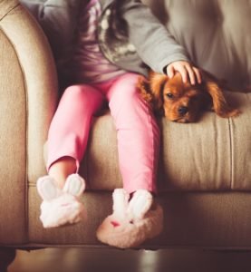 Family Dog